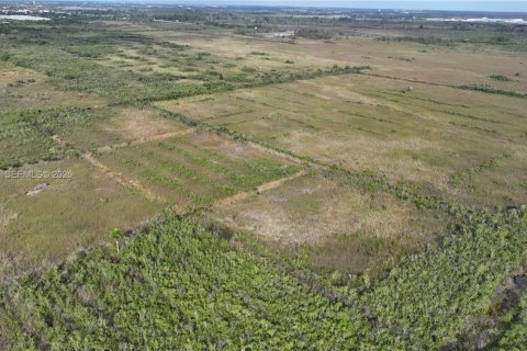Terreno en venta en Homestead, Florida № 2082846 - foto 27