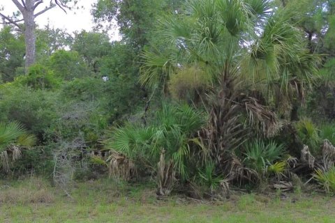 Land in Port Charlotte, Florida № 2200815 - photo 7
