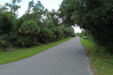 Land in Port Charlotte, Florida № 2200815 - photo 9