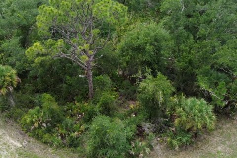 Land in Port Charlotte, Florida № 2200815 - photo 4