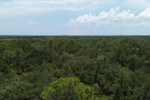 Land in Port Charlotte, Florida № 2200815 - photo 8