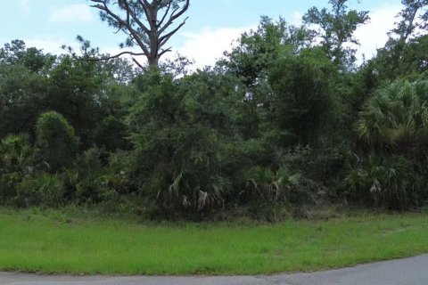 Land in Port Charlotte, Florida № 2200815 - photo 3