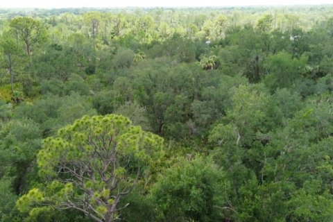 Land in Port Charlotte, Florida № 2200815 - photo 6