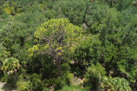 Land in Port Charlotte, Florida № 2200815 - photo 5