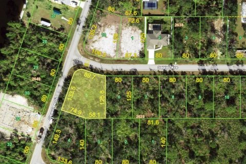 Land in Port Charlotte, Florida № 2200815 - photo 2