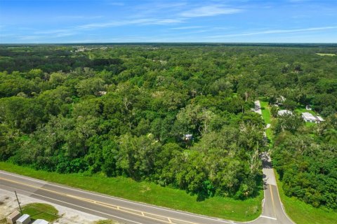 House in Spring Hill, Florida 2 bedrooms, 74.88 sq.m. № 934625 - photo 8
