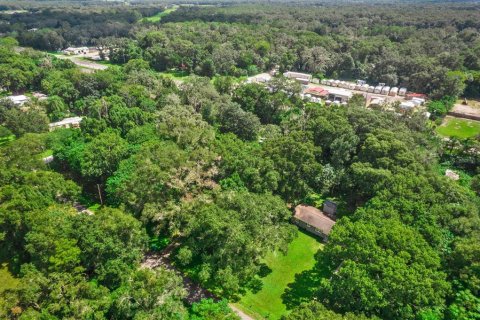 House in Spring Hill, Florida 2 bedrooms, 74.88 sq.m. № 934625 - photo 25