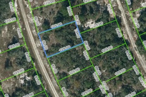 Land in Lake Placid, Florida № 2223941