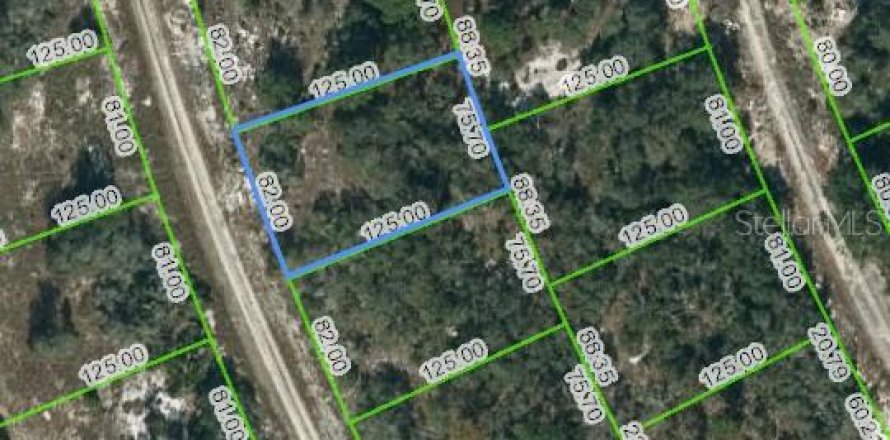 Land in Lake Placid, Florida № 2223941