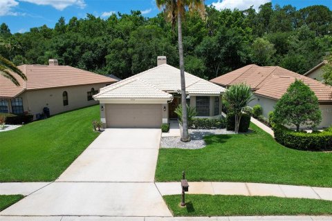 House in Palm Harbor, Florida 3 bedrooms, 160.35 sq.m. № 1821414 - photo 1