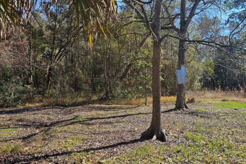 Villa ou maison à vendre à Jacksonville, Floride: 3 chambres, 89.46 m2 № 2240083 - photo 13