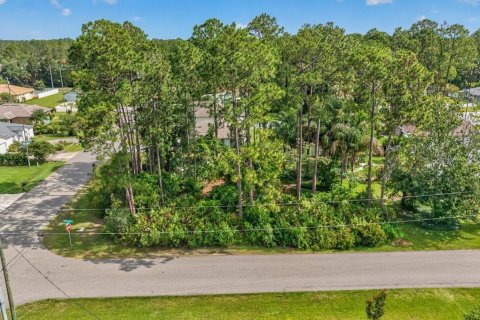 Land in Palm Coast, Florida № 2118101 - photo 5