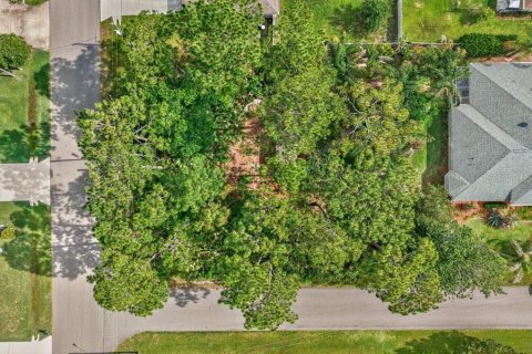 Land in Palm Coast, Florida № 2118101 - photo 7