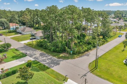 Land in Palm Coast, Florida № 2118101 - photo 4