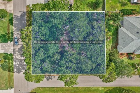 Land in Palm Coast, Florida № 2118101 - photo 6
