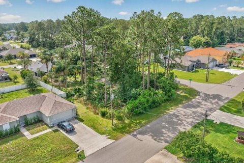 Land in Palm Coast, Florida № 2118101 - photo 2