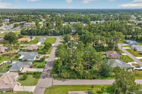 Land in Palm Coast, Florida № 2118101 - photo 18