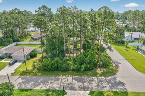 Land in Palm Coast, Florida № 2118101