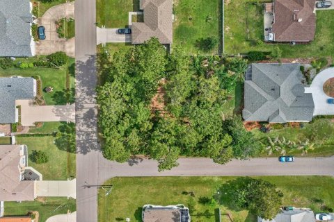 Land in Palm Coast, Florida № 2118101 - photo 8