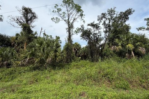 Land in North Port, Florida № 2367207