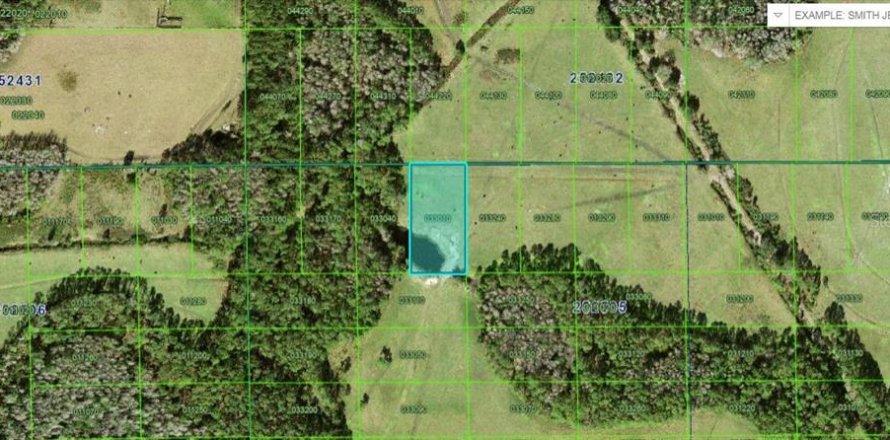 Terreno en Polk City, Florida № 2235297