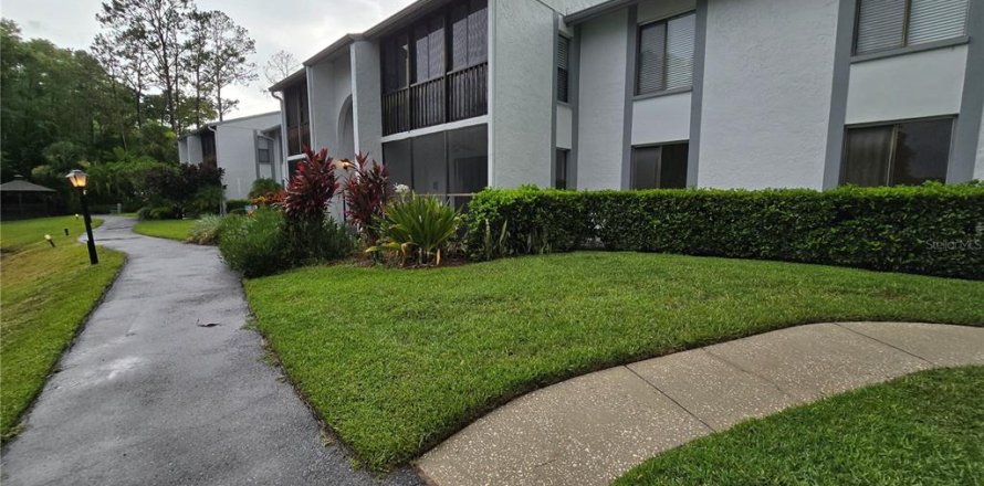 Condo in Tarpon Springs, Florida, 3 bedrooms  № 1785013