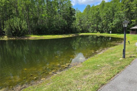 Condo in Tarpon Springs, Florida, 3 bedrooms  № 1785013 - photo 6