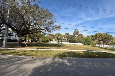 Terreno en venta en Pinecrest, Florida № 2043845 - foto 4