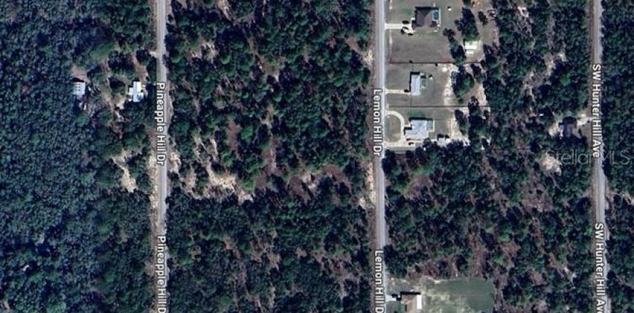 Land in Dunnellon, Florida № 2158743