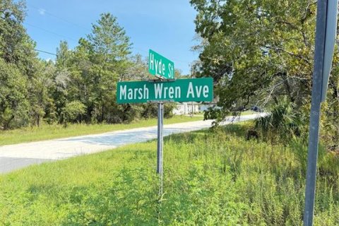 Land in Weeki Wachee, Florida № 1908008 - photo 2