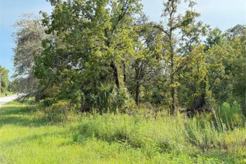 Land in Weeki Wachee, Florida № 1908008 - photo 3