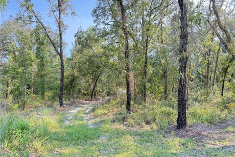 Land in Weeki Wachee, Florida № 1908008 - photo 5
