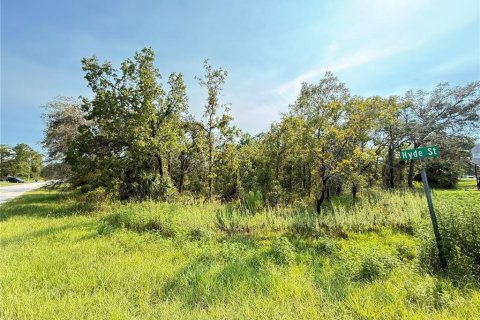Land in Weeki Wachee, Florida № 1908008 - photo 4