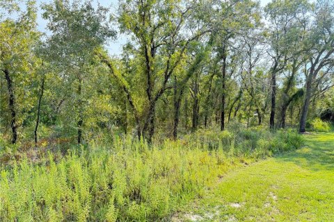 Land in Weeki Wachee, Florida № 1908008 - photo 1