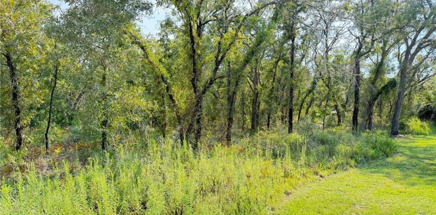 Land in Weeki Wachee, Florida № 1908008