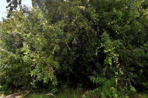 Land in North Port, Florida № 2196228