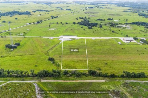 Terreno en Myakka City, Florida № 2325005