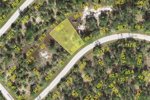 Land in Port Charlotte, Florida № 2224826 - photo 2