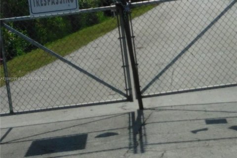 Immobilier commercial à vendre à Homestead, Floride № 1958217 - photo 11