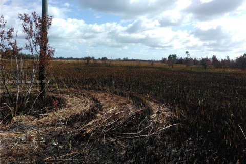 Immobilier commercial à vendre à Homestead, Floride № 1958217 - photo 14