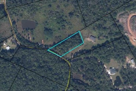 Land in Middleburg, Florida № 1856410 - photo 3