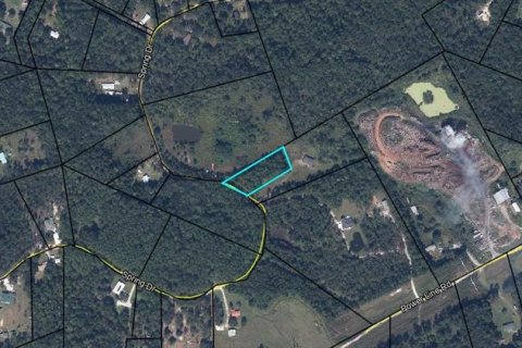 Land in Middleburg, Florida № 1856410 - photo 4
