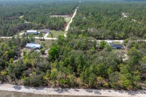 Land in Dunnellon, Florida № 1601932 - photo 2