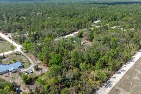 Land in Dunnellon, Florida № 1601932 - photo 7