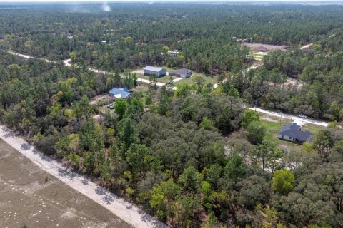 Land in Dunnellon, Florida № 1601932 - photo 3