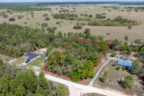 Land in Dunnellon, Florida № 1601932 - photo 1