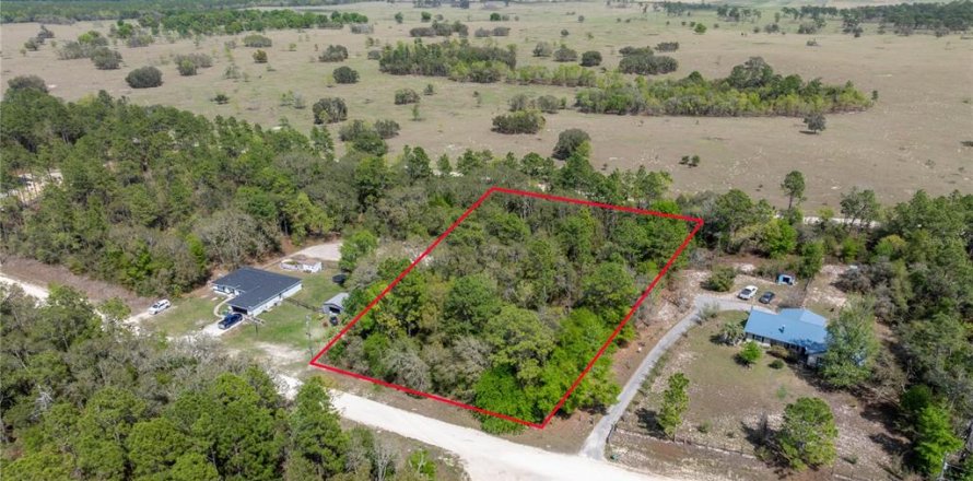 Land in Dunnellon, Florida № 1601932