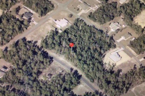 Terrain à Ocala, Floride № 2108189