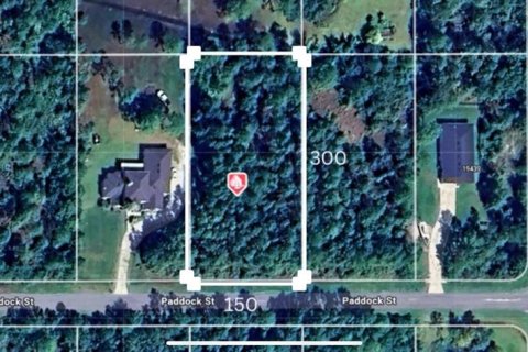 Land in Orlando, Florida № 1906667 - photo 1