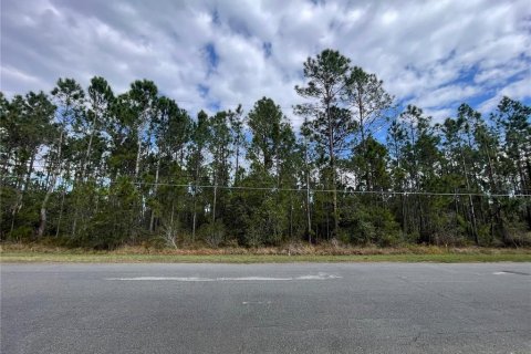 Land in Orlando, Florida № 1906667 - photo 4